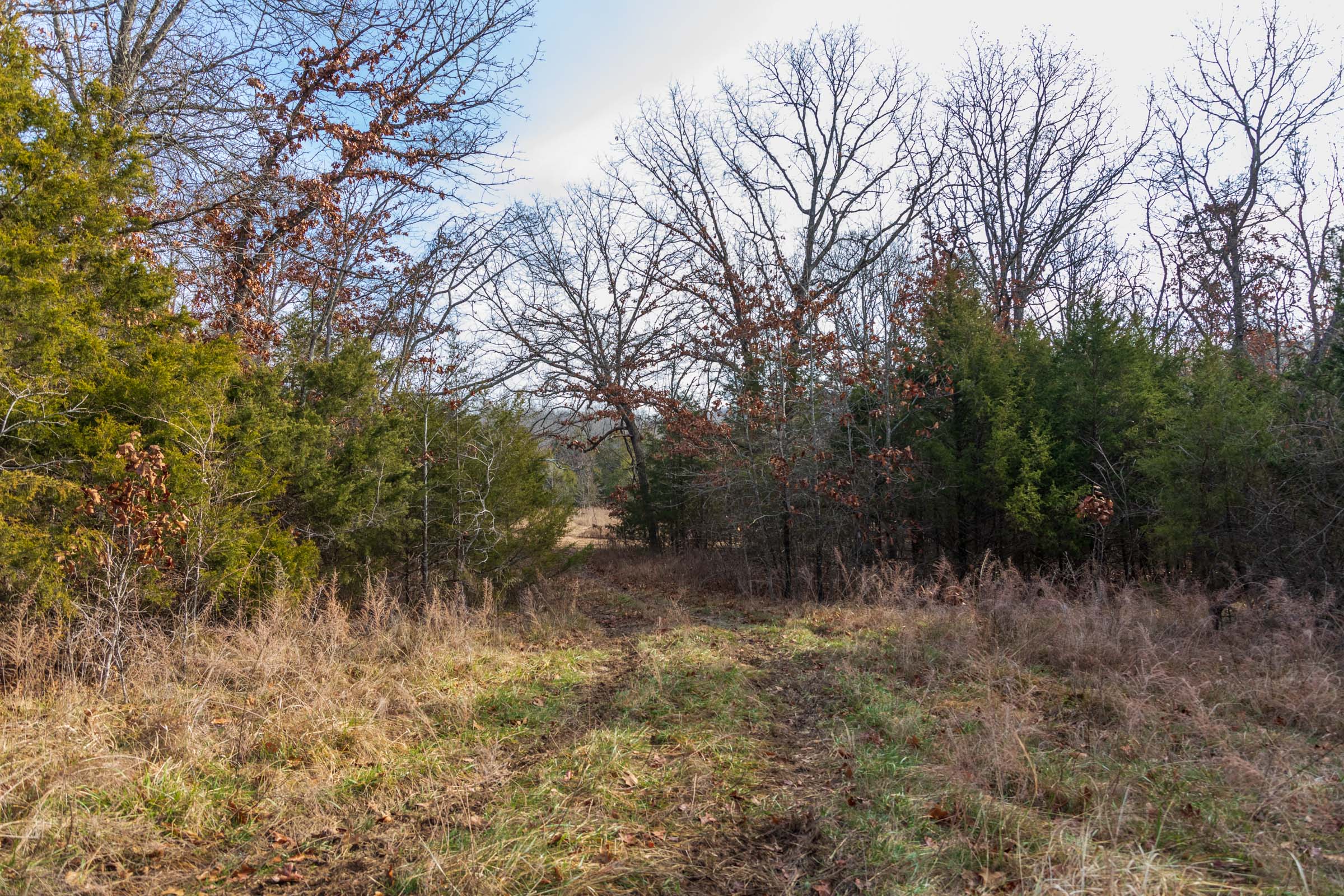 Tract 14 at Crossroads in Douglas County, Missouri