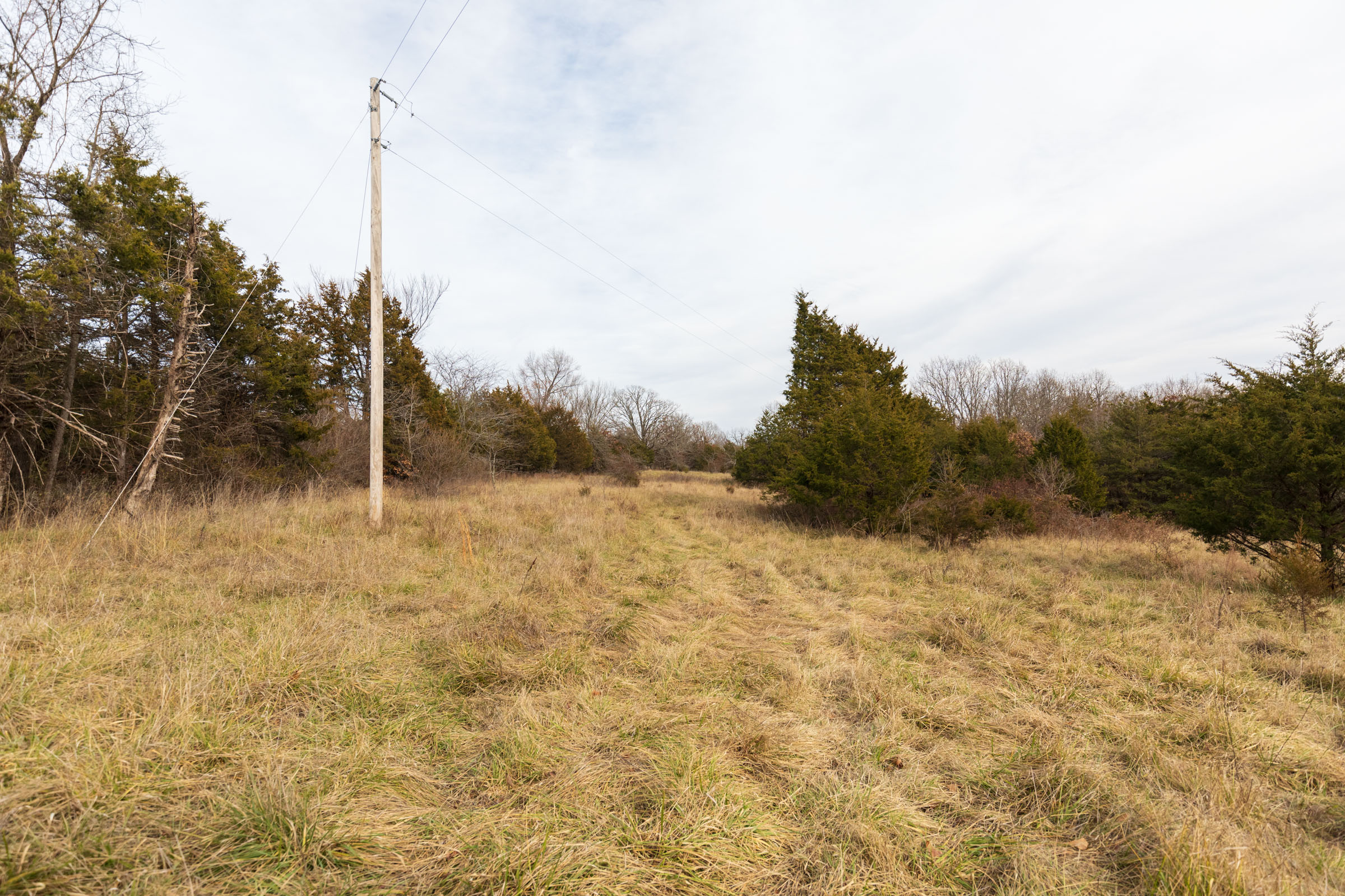 Tract 2 at Crossroads in Douglas County, Missouri