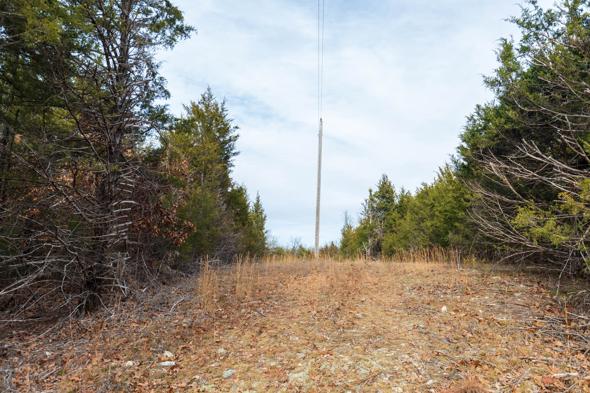 Tract 4 at Crossroads in Douglas County, Missouri